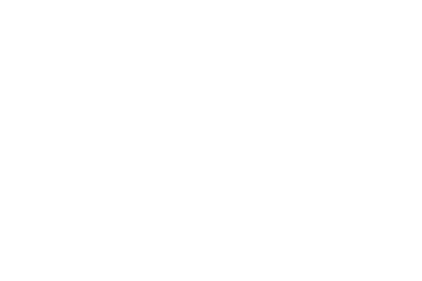 HAE logo wht