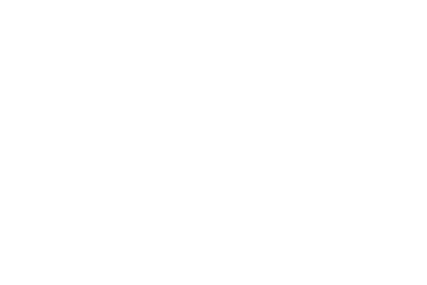 amber lakes logo wht