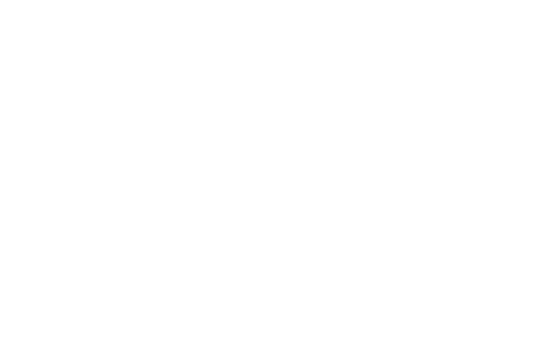 avantgarde logo wht
