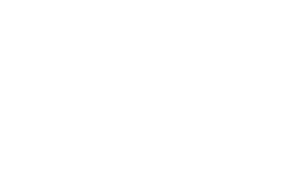 google logo wht