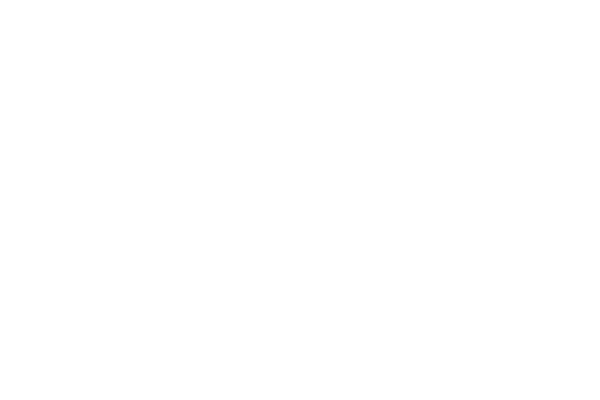 village underground logo wht
